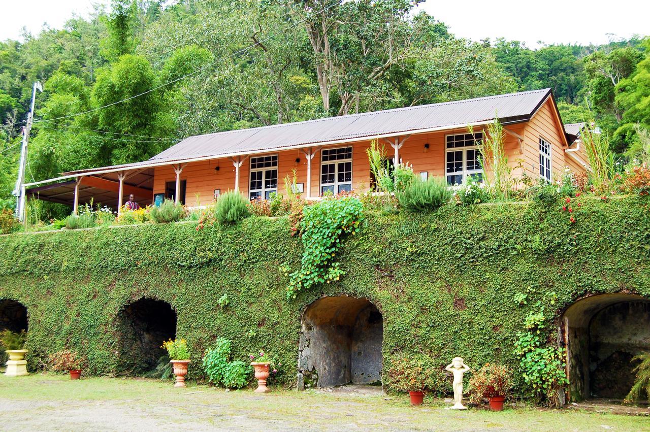 Barbecue Heritage Gardens Cottage - Jm Νιούκασλ Εξωτερικό φωτογραφία